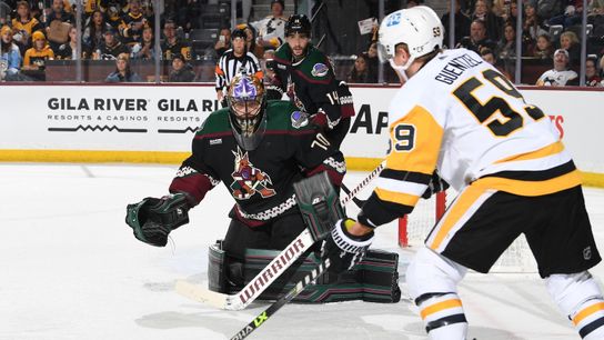 Guentzel snaps himself, Penguins out of drought with two quick goals taken in Tempe, Ariz. (Penguins)